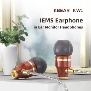 Gadgetoo Kbear Kw1 Single Dd In-Ear Hifi Wired Earphone (Mic)