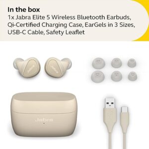 Gadgetoo Jabra Elite 5 Hybrid Anc True Wireless Earbuds