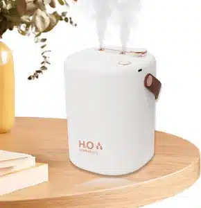 Gadgetoo Double Spray Mini Humidifier With Led Light