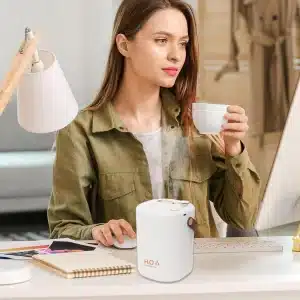 Gadgetoo Double Spray Mini Humidifier With Led Light