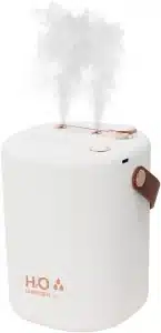 Gadgetoo Double Spray Mini Humidifier With Led Light