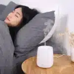 Xiaomi HL 120ML Diffuser Humidifier