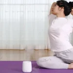 Xiaomi HL 120ML Diffuser Humidifier