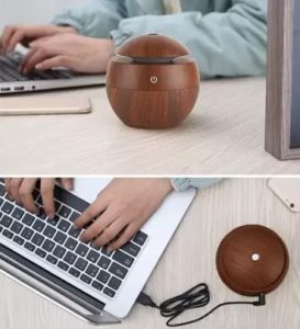 Gadgetoo Trendzmy Room Sl-001/002 Portable Mini Humidifier 200Ml - C002