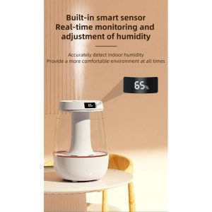 Gadgetoo Double Spray Humidifier (Jh-20H) Rs975