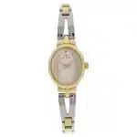 Titan Quartz Analog Silver Dial Stainless Steel Dual Toned Strap Watch for Women - Image 2
