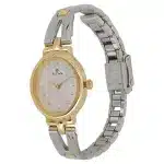 Titan Quartz Analog Silver Dial Stainless Steel Dual Toned Strap Watch for Women
