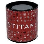 Titan Lagan Blue Dial Analog Leather Strap Watch for Men 1713WL01 - Image 5
