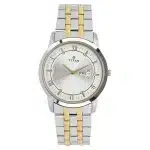 Titan Metal Silver Analog with Day and Date Stainless Steel Strap Watch for Men 1774BM01