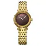 Titan Glamour Quartz Analog Brown Dial Golden Stainless Steel Strap Watch For Women 95316YM01