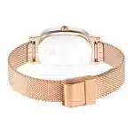 Titan Raga Viva Brown Dial Analogue Stainless Steel Strap Watch for Women NS2665WMO1 - Image 4