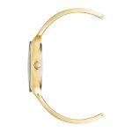 Anne Klein Brown Dial Analog Watch for Women NEAK4040GPBN - Image 2